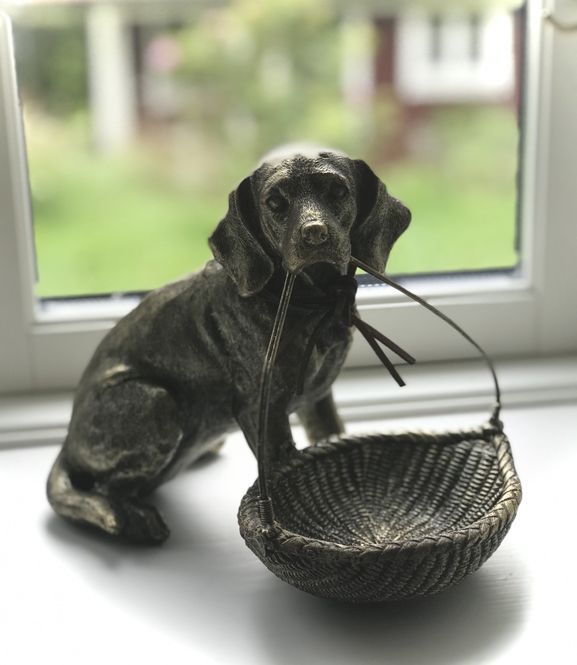Hovedbilde Hund med kurv