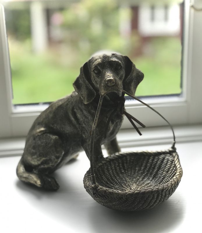 Hund med kurv
